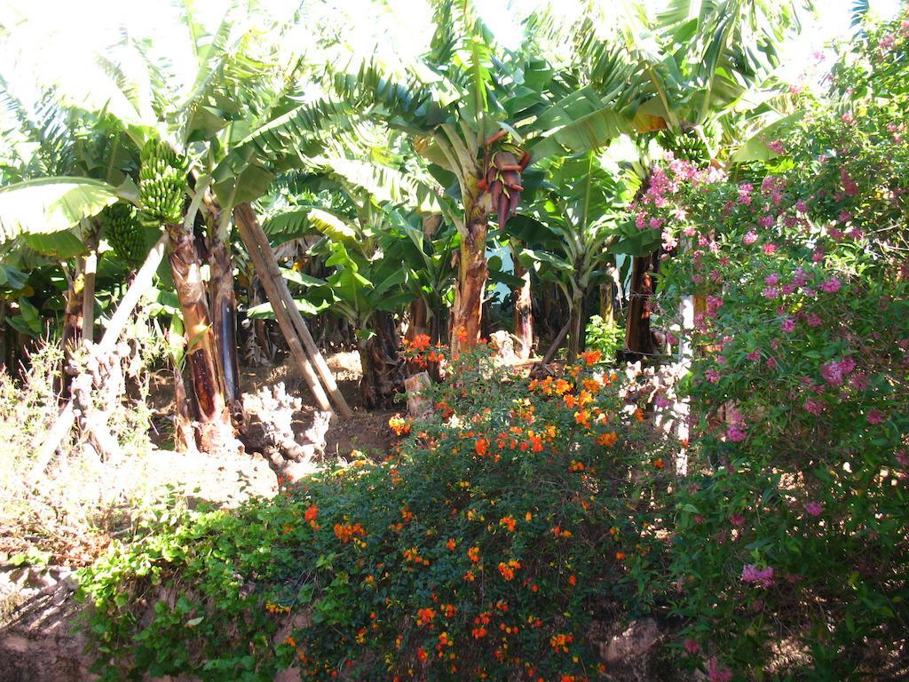 Quinta Sao Goncalo Villa Funchal  Exteriör bild